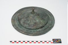 Foto von Bronzephalere (NHMW-PRAE-025544)